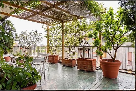 Buonarroti Roof Garden Mita